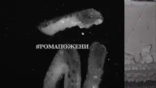 #РомаПожени +100500 ₽аз 🤗