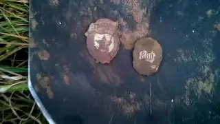 Коп по серебру!!!,мини слет комрадов.