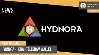 HYDNORA - TELEGRAM WALLET - POS STAKE  - INFORMAÇÕES