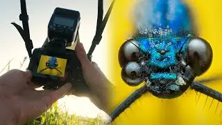 15 Minutes of POV Macro Photography