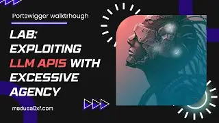 LLM API Hacking | Excessive Agency | PART 2