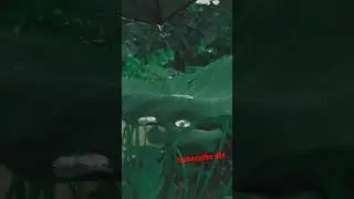 nature lovers in hindi songs 😘 #short #shortsvideo ##shortvideo #video