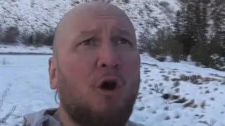Самолет летит