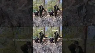 реальная рыбалка 