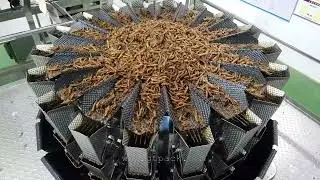 Gantan 18 heads duplex weigher