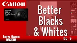 9 Better Black & White Photos - Canon DPP 4