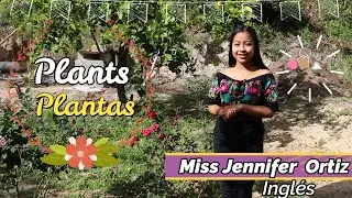 Kinder - Inglés - Plants
