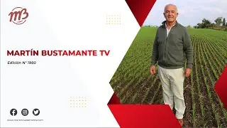 Martín Bustamante TV || Programa Nº 1980