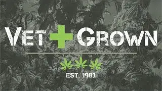 Calivetgrown live smoke session 8