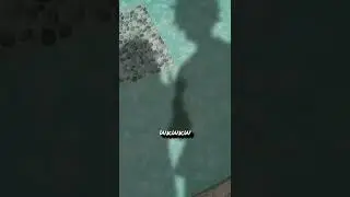 hehe😅, ngikut trend tik tok aja lah(^.^)