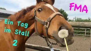 STALL Follow me around I Ein TAG mit WÖLBCHEN I Annica Hansen