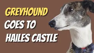 Greyhound  - Magnus goes to Hailes Castle