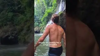 We swam in the most polluted waterfall in Bali ☠️🌴