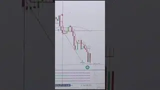 | Money machine Dash King forex system |  #trading  #stockmarket  #tradingtips
