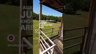 Airsoft players lose their 💩 (TRY NOT TO LAUGH)