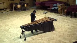 Breaking a mallet :D White Knuckle Stroll by C.Cangelosi played by Miroslav Dimov