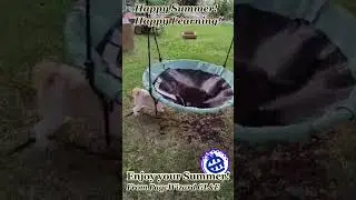 Happy Summer from PageWizard GL&E