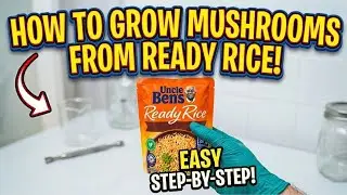 How to Grow Mushrooms From Uncle Ben's Ready Rice