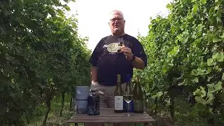 Mark’s Whisky Ramblings 542: Nc’nean Huntress 2024 – Orchard Cobbler