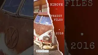 Freddy Files 2016, le rendez-vous ultime des passionnés de voitures Volkswagen à Ninove !