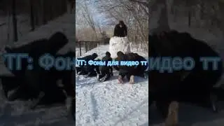 фоны для видео тт