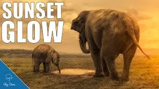 Create a Sunset Glow with Photoshop #66