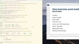 Wolf: Git Branches