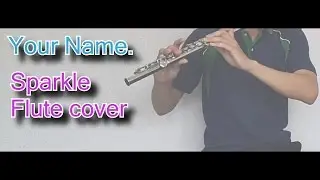 Sparkle Flute cover - Kimi No Na Wa  (Your Name.)