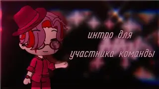🐸Интро для участника команды 🐸