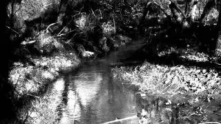 Sarvari - To Burst Into Tears