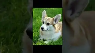 Спасибо за 400 подписчиков🌸 С каждым днём нас всё больше, и больше!
