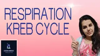 Respiration in Plants | NEET | Kreb Cycle | Science Ambient