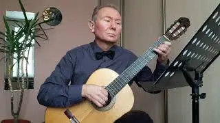 Мария Перроте. Не говорите мне о нём (Он виноват) на гитаре. Обработка Олега Копенкова