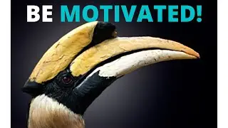Be Motivated! | Best Motivational Quotes