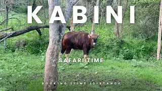 Famous Kabini safari | weekend outing | #travel #youtube #weekend #kabinisafari @Atmavlogs1
