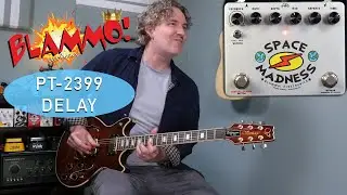 BLAMMO! Electronics -  Space Madness Delay