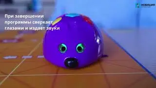 Обзор робототехнического конструктора для ДОУ 