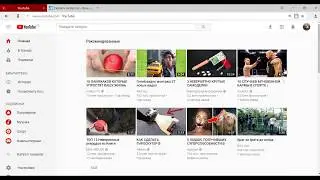 как снимат видео