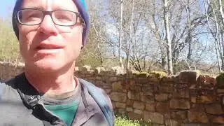 Bird Song Quiz: Introduction