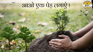 पौधा लगाने का सही तरीका || The right way to plant a tree