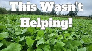 Getting Rid of (some) Food Plots to Make our Farm Hunt Better