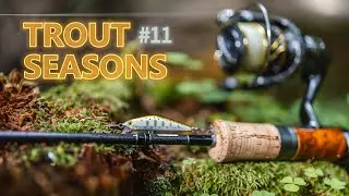 Trout seasons #11 - Форелевый марафон. День второй.