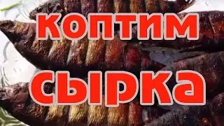 Как закоптить рыбу на даче, сырок горячего копчения