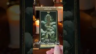 Your Next 12 Months In Detail | Group 1 | #tarot #tarotreading