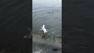 ❤Для настроения ❤