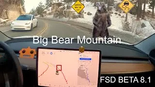 Tesla FSD Beta 8.1 Conquered Big Bear Mountain California !