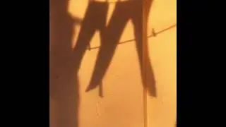 Ветер в штанах