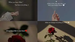 Islamic Quotes Status | Islamic DP | WhatsApp DP | Golden words | H Z