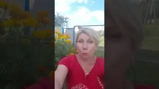 зарабатывать получится у всех