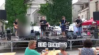 Jacques Dutronc - Les Cactus (cover by) Les Denises